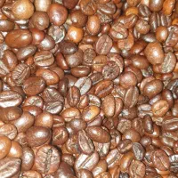 دان قهوه|عمدهفروشی|کرمان, |دیوار