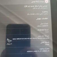 تبلت لنو|تبلت|لاهیجان, شقایق|دیوار