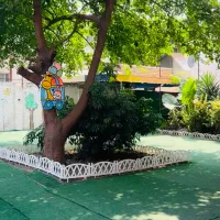 جذب نیرو در کودکستان