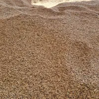 فروش چلتوک عنبربو شوشتر خشک|خوردنی و آشامیدنی|رامهرمز, |دیوار