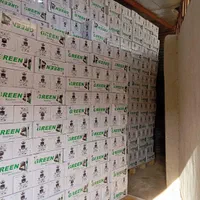 عمده فروشی ققنوس ذغال گرین بامبو