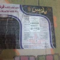 فرش کودک|فرش|ارومیه, |دیوار