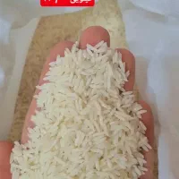 فروش برنج طارم هاشمی