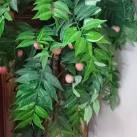 میز پایه استیل در حد نو