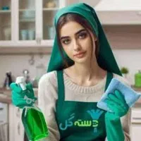 خانم جهت نظافت منزل