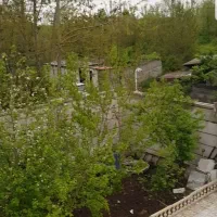 اجاره و رهن ویلایی|اجارهٔ خانه و ویلا|شفت, |دیوار