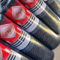 ایزوگام نگین نقره ای