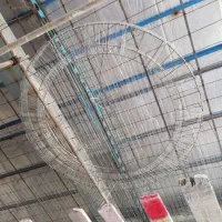 رابیتس بندی