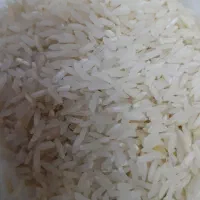برنج ایرانی به قیمت تولید کننده