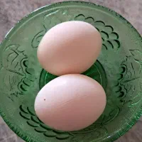 تخم مرغ باپروتئین بالا
