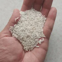 ۵۰ کیلو برنج هاشمی درجه یک
