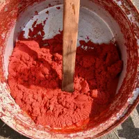 رب خانگی