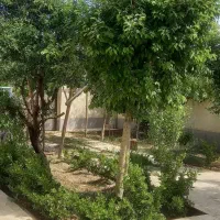 اجاره کوتاه مدت ویلا نیاسر