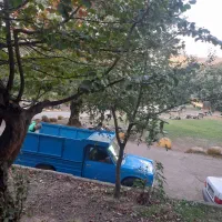 حمل بار با نیسان