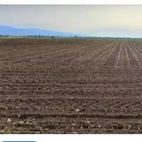 زمین-کشاورزی-روستای-مارکان