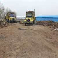 خرید انواع چوب بصورت نقدی|خدمات باغبانی و درختکاری|مشگین شهر, |دیوار