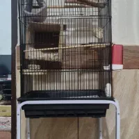 قفس برای فروشی عدد قفس پرنده استفاده نشده درجه یک