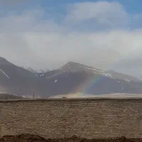 کود گوسفندی خشک فله و گونی