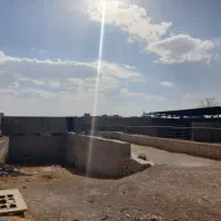 گاوداری ۲ هزار متری ،جهت مصارف صنعتی|فروش دفتر صنعتی، کشاورزی، تجاری|اصفهان, قلعه نو|دیوار