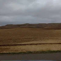 فروش زمینه کشاورزی