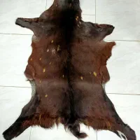 فرشینه پوست وارداتی