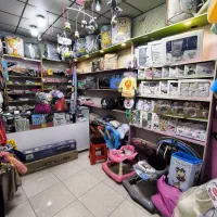 دکور قفسه و ویترین مغازه