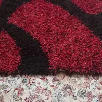 قایچه ودوتا پادری