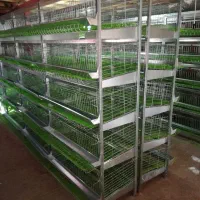 قفس اتومات مرغ