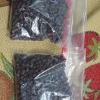 غذای ماهی وطعمه برای ماهیگیری