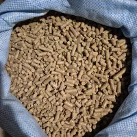 خوراک گوساله پرواری