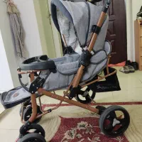 کالسکه مارک دلیجان مدل بنیتا