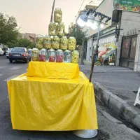 گردو فالی تاره