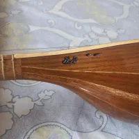 فروش سه تار،همراه با کاور. کتاب آموزشی و استند