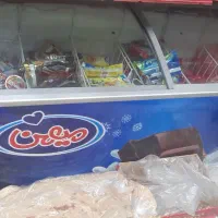 یخچال بستنی ۶۰۰لیتری.