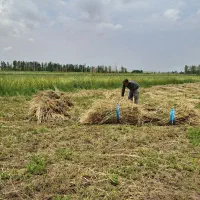 غذای حیوانات  (یونجه و خسیل)