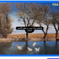 پذیرش هنرجو و معرفی سریع ب بازار کار و درآمد بالا|خدمات آموزشی|تهران, خانی آباد نو شمالی|دیوار