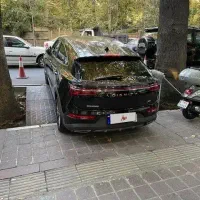 دیگنیتی مشکی داخل مارون