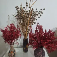 گل خشک وزیبا|گل مصنوعی|گرگان, |دیوار