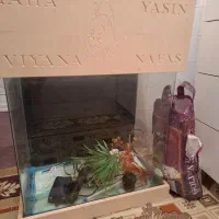 آکواریوم شیشه خم سالم