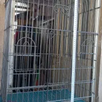 قفس طوطی سالم و نونو