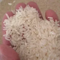 برنج باکیفیت و مقرون بالصرفه