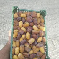 رطب عسلی|حراج|تهران, صاحب الزمان|دیوار