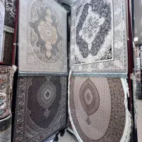 فرش قالیچه ۱۲۰۰ شانه (قیمت کارخانه در فرش نادر)|فرش|تبریز, |دیوار