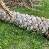 فروش تنه درخت خرما مناسب برا ساخت صندلی برای کافه