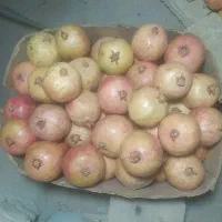 انار دانه سیاه تفت