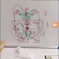 انلاین و رایگان درمنزل طب سنتی یادبگیروپول دربیار