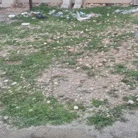 زمین-قبر-فلکدین