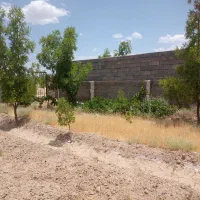 باغ۱۵۰۰مترهمراه بایک ساعت آب چاه شمس اباد|فروش دفتر صنعتی، کشاورزی، تجاری|بیرجند, |دیوار