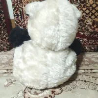 خرس عروسکی|اسباب‌‌بازی|مشهد, امام خمینی|دیوار