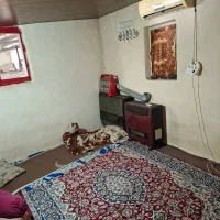 کارگر ساده برای بسته بندی سبد میوه|استخدام صنعتی، فنی، مهندسی|امیرکلا, |دیوار